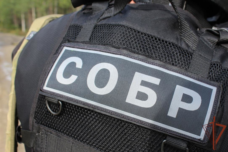 В Карелии росгвардейцы оказали содействие следователям в задержании подозреваемой в покушении на убийство (видео)
