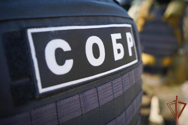 В Вологодской области при содействии СОБР Росгвардии задержан подозреваемый в убийстве