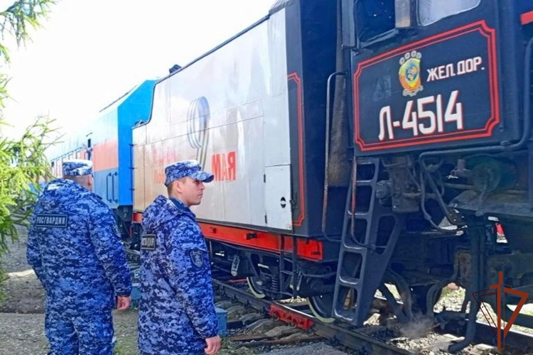 В Ульяновской области росгвардейцы обеспечили безопасность во время прибытия легендарного состава «Паровоз Победы» (видео)
