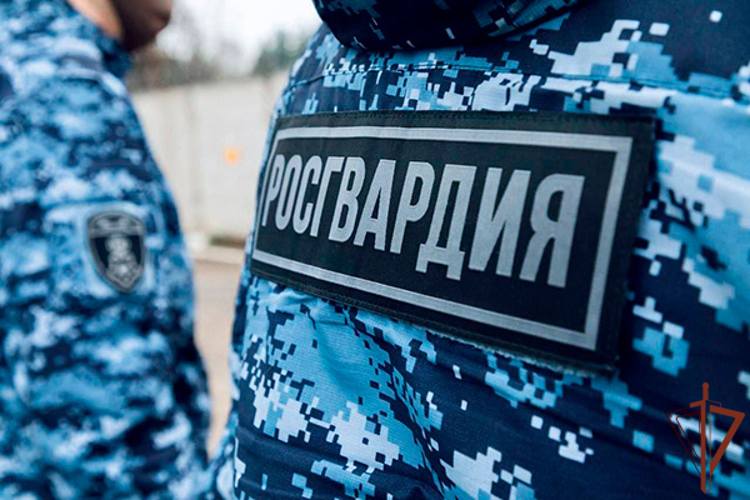 Росгвардеец пришёл на помощь водителю загоревшегося грузовика в Подмосковье (видео)