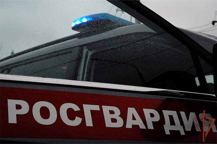 В Москве росгвардейцы задержали мужчину, находящегося в федеральном розыске (видео)