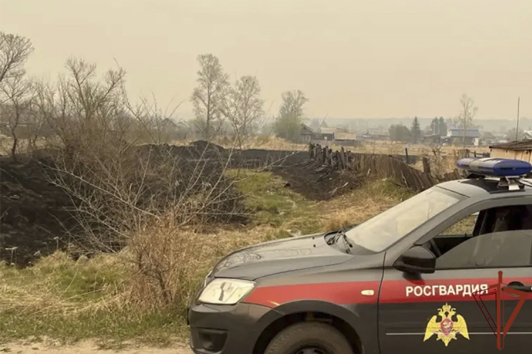 В Амурской области сотрудники Росгвардии предотвратили распространение огня на жилые постройки