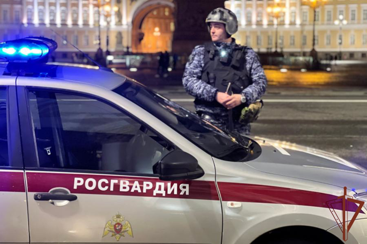 Сотрудники Росгвардии на территории Государственного Эрмитажа задержали неадекватного гражданина и передали его медикам