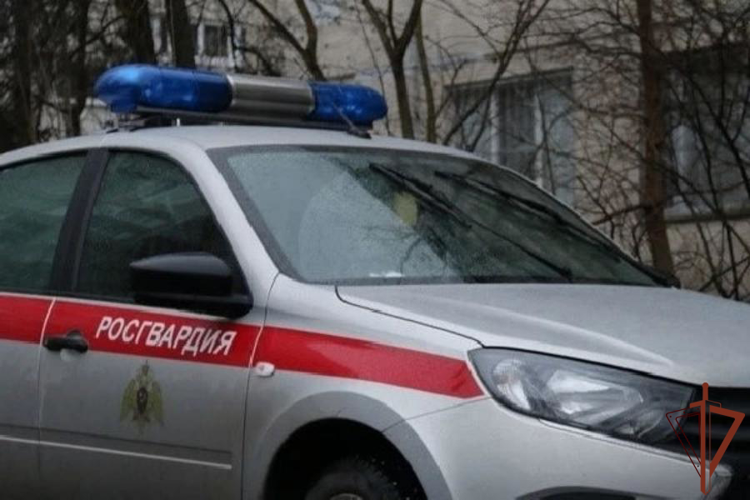 В Санкт-Петербурге росгвардейцы задержали мужчину, разбившего стекло в автомобиле скорой помощи