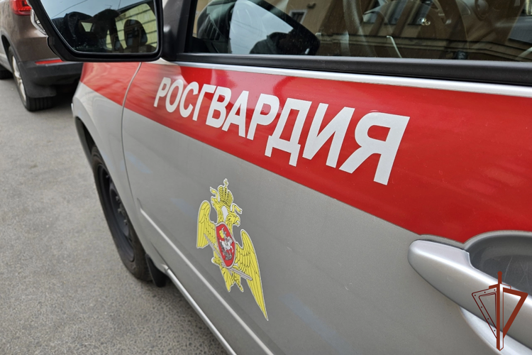 В центре Санкт-Петербурга росгвардейцы задержали нетрезвого гражданина, въехавшего в дом