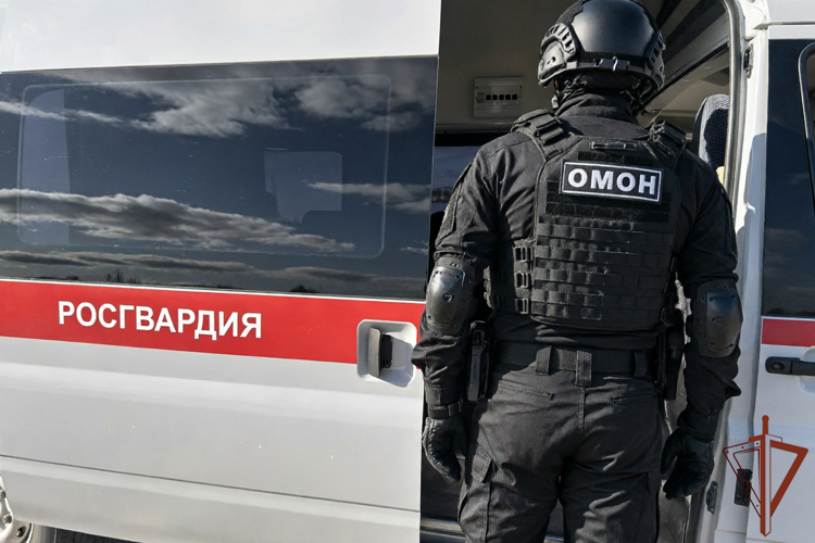 На Ямале при поддержке ОМОН Росгвардии задержан подозреваемый в публичном оправдании терроризма (видео)