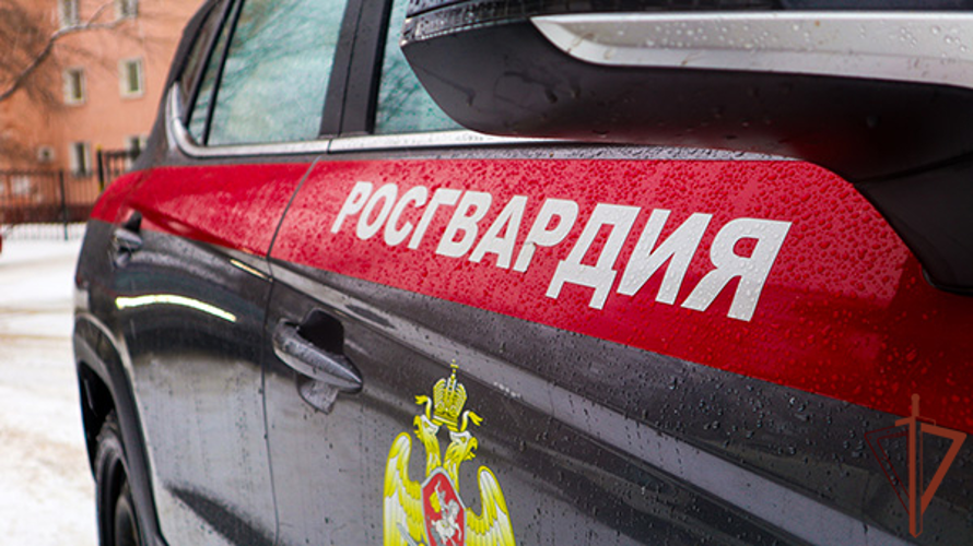 Сотрудники Росгвардии задержали рецидивистку, подозреваемую в избиении пенсионерки в Подмосковье (видео)
