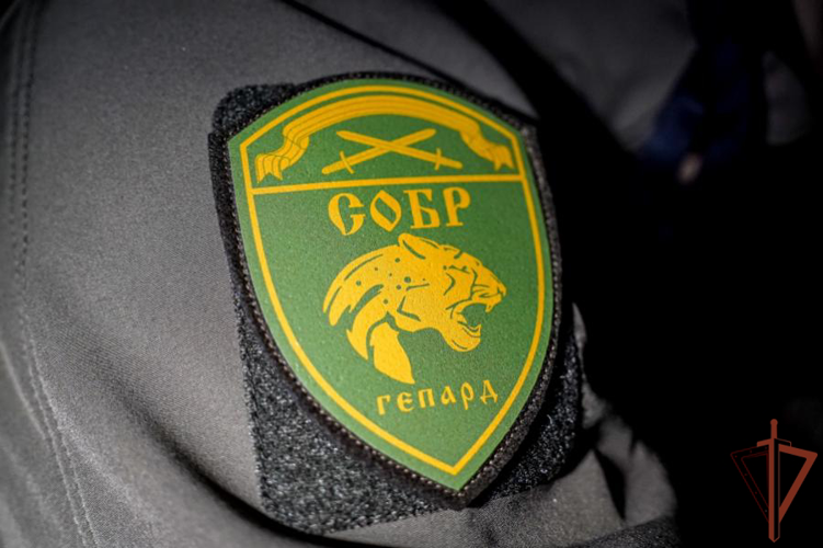 При содействии СОБР Росгвардии в Пскове задержан подозреваемый в оправдании терроризма