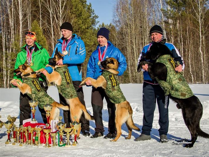 Военнослужащие Сибирского округа заняли призовые места на III этапе Кубка России 2017 г. по кинологическому биатлону