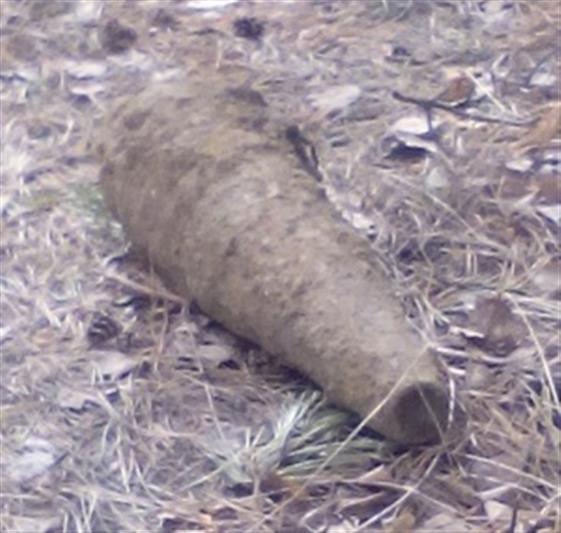 В Челябинской области сотрудники ОМОНа отреагировали на сообщение об обнаружении артиллерийского снаряда 