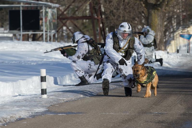 В преддверии Дня защитника Отечества военнослужащие софринской бригады принимали гостей