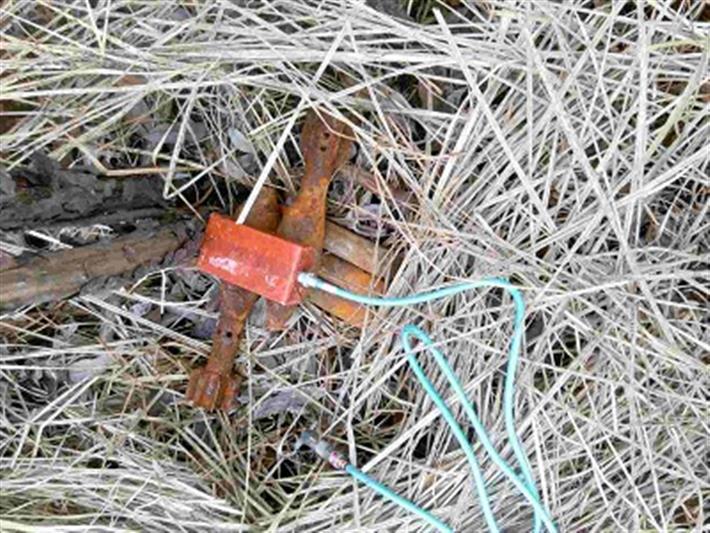 В Тюменской области сотрудники Росгвардии обезвредили боеприпасы 