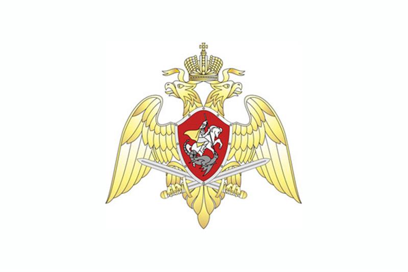 Разрабатывается символика Федеральной службы войск национальной гвардии Российской Федерации
