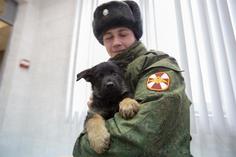 Кинологи Росгвардии