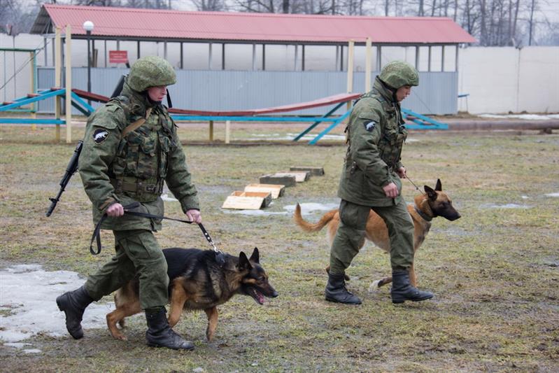 Кинологи Росгвардии