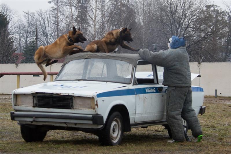 Кинологи Росгвардии