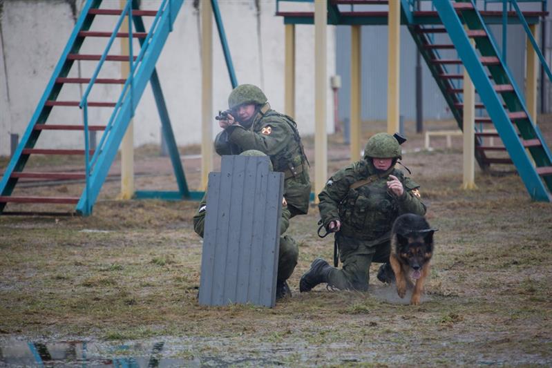 Кинологи Росгвардии