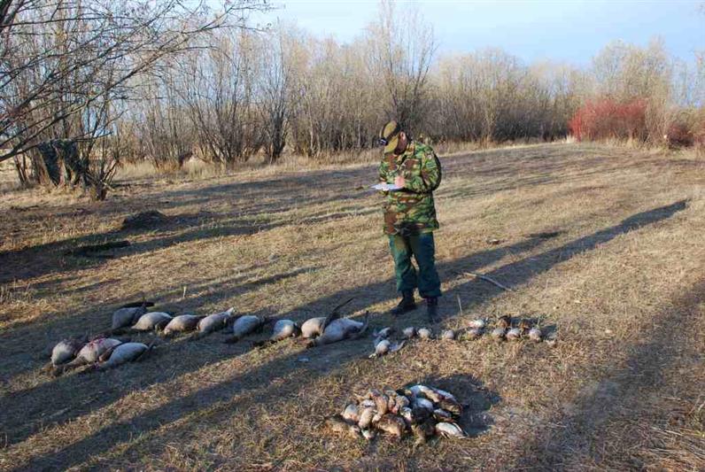 В Якутии в ходе рейда сотрудники Росгвардии и Министерства охраны природы задержали браконьеров, которые охотились на краснокнижных птиц