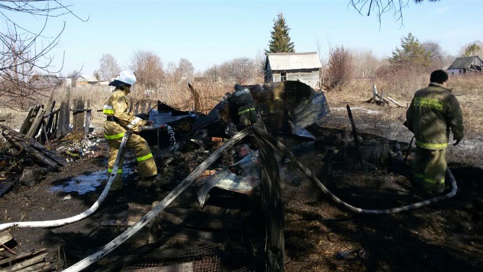 Военнослужащие Сибирского округа не допустили распространение пожара в дачном поселке