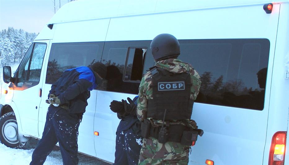 В Архангельской области сотрудники СОБРа Росгвардии пресекли деятельность черных лесорубов