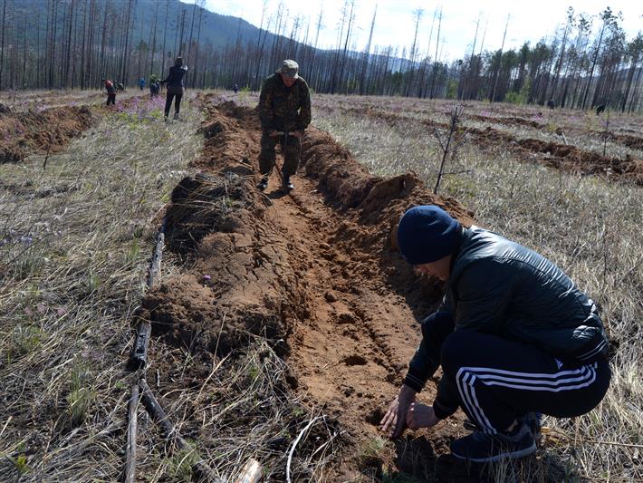 В Забайкалье сотрудники Росгвардии приняли участие в акции «Всероссийский день посадки леса»