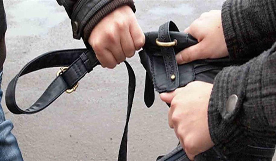 В Удмуртии сотрудники Росгвардии задержали гражданина, совершившего разбойное нападение на женщину