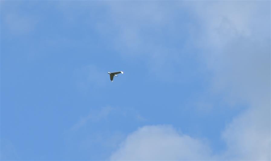 В г. Тюмени сотрудники Росгвардии приняли участие в межведомственном оперативно - профилактическом мероприятии