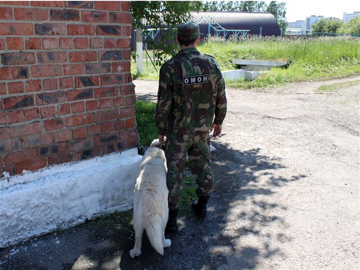 В Иркутской области сотрудники Росгвардии провели обследование пассажирского поезда на предмет наличия взрывчатых устройств и взрывоопасных предметов
