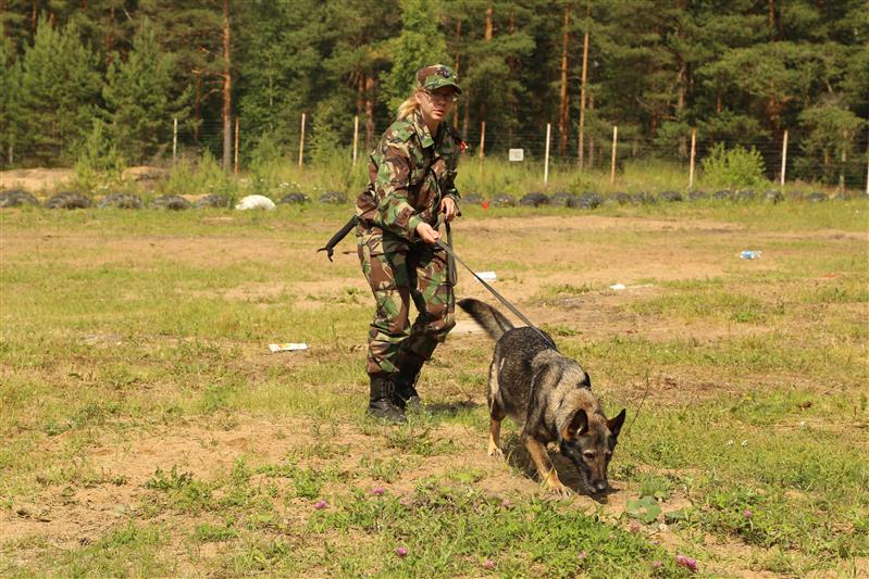 Завершились соревнования по многоборью кинологов на первенство Северо-Западного округа войск национальной гвардии РФ