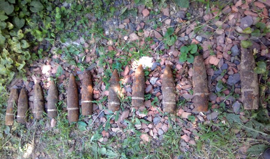 В Ростовской области сотрудники ОМОНа Росгвардии обезвредили артиллерийские снаряды времен Великой Отечественной войны