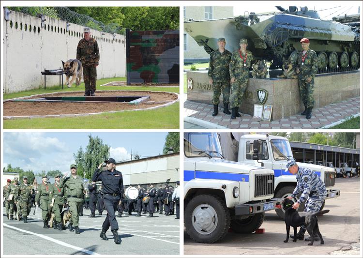 В Московской области завершились соревнования по многоборью кинологов Центрального округа Росгвардии