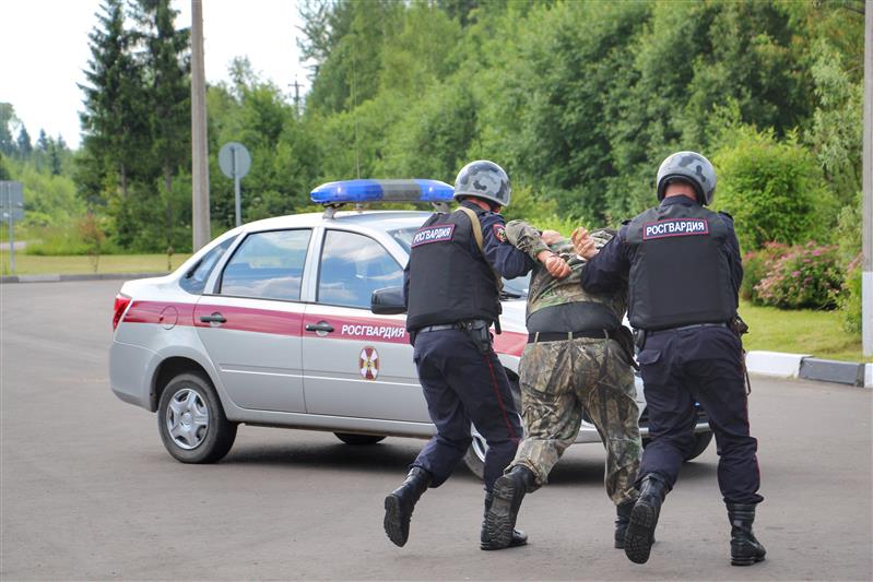 В Московской области сотрудники Росгвардии задержали мужчину по подозрению в совершении грабежа