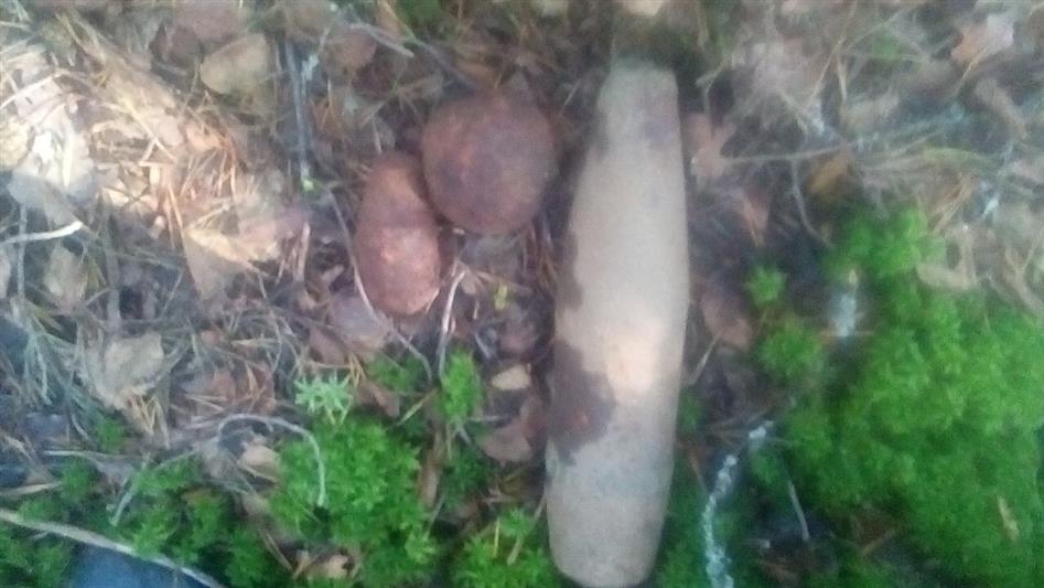 В Республике Карелия взрывотехники ОМОНа уничтожили боеприпасы времён Великой Отечественной войны