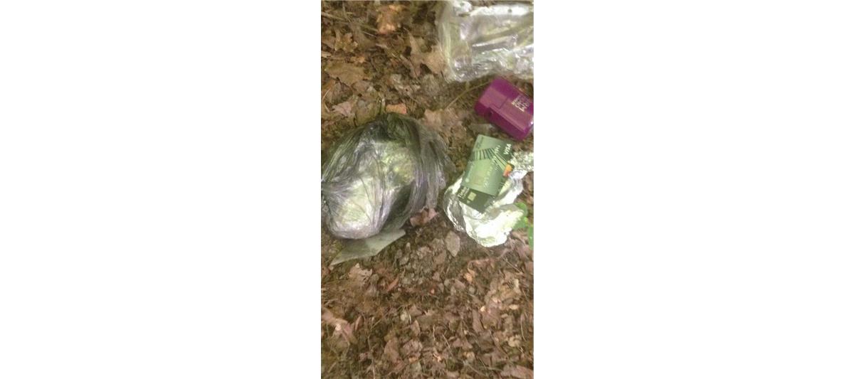 В Северном округе г. Москвы сотрудники Росгвардии задержали молодого человека за незаконное хранение оружия и наркотических средств