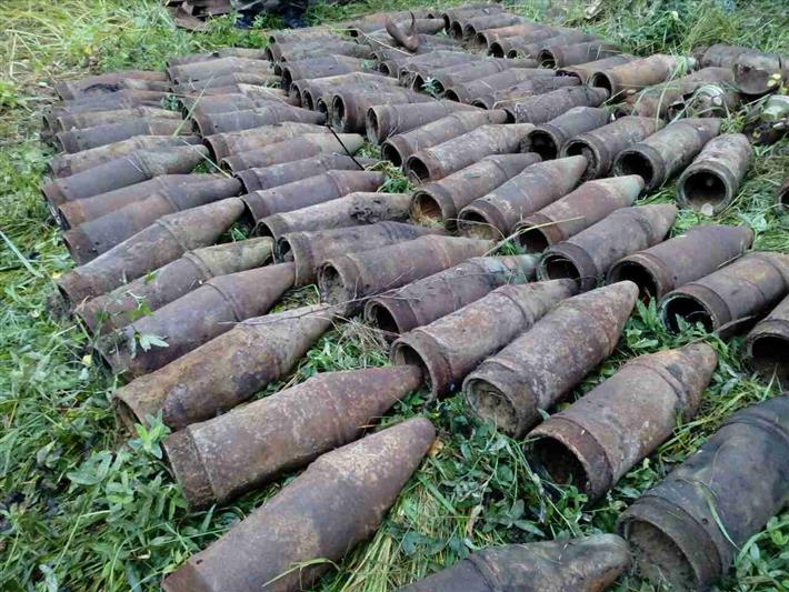 Под Костромой сотрудники Росгвардии обследовали свыше 150 учебных снарядов, найденных на заброшенной военной базе 