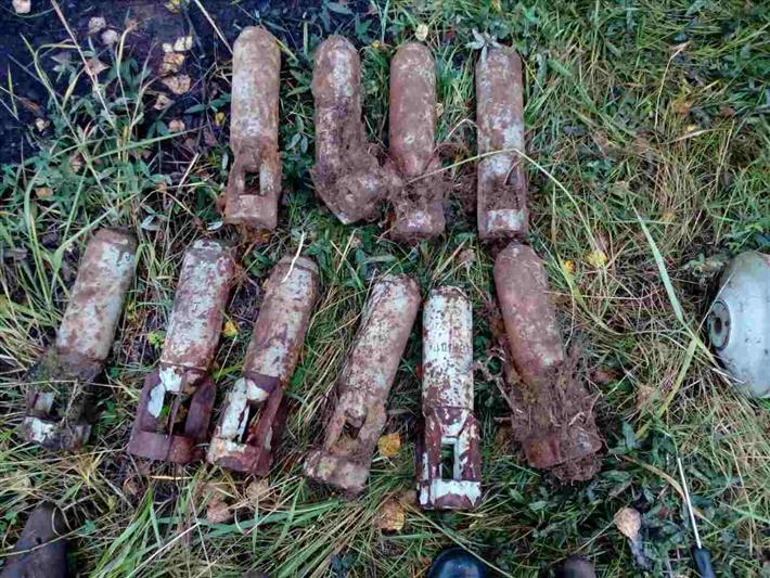 Под Костромой сотрудники Росгвардии обследовали свыше 150 учебных снарядов, найденных на заброшенной военной базе 