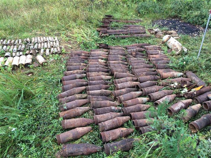 Под Костромой сотрудники Росгвардии обследовали свыше 150 учебных снарядов, найденных на заброшенной военной базе 