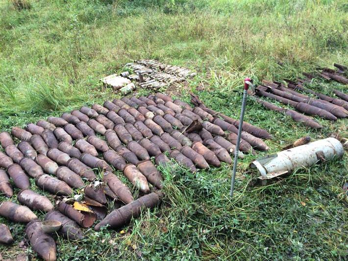 Под Костромой сотрудники Росгвардии обследовали свыше 150 учебных снарядов, найденных на заброшенной военной базе 
