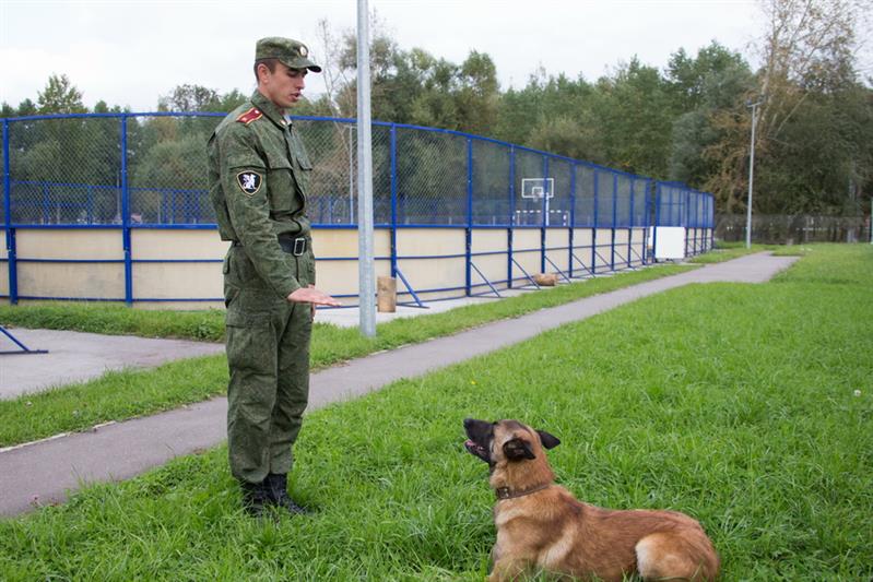 Чемпионат войск национальной гвардии по многоборью кинологов 