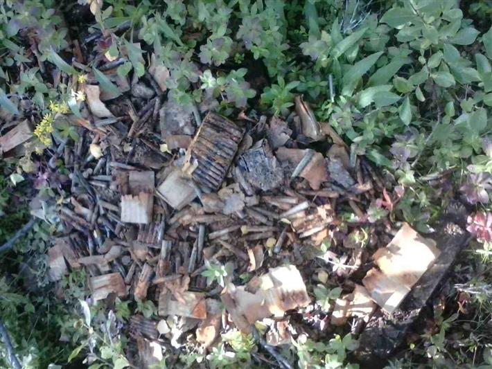 Взрывотехники мурманского ОМОНа обезвредили склад немецких боеприпасов времен Великой Отечественной войны