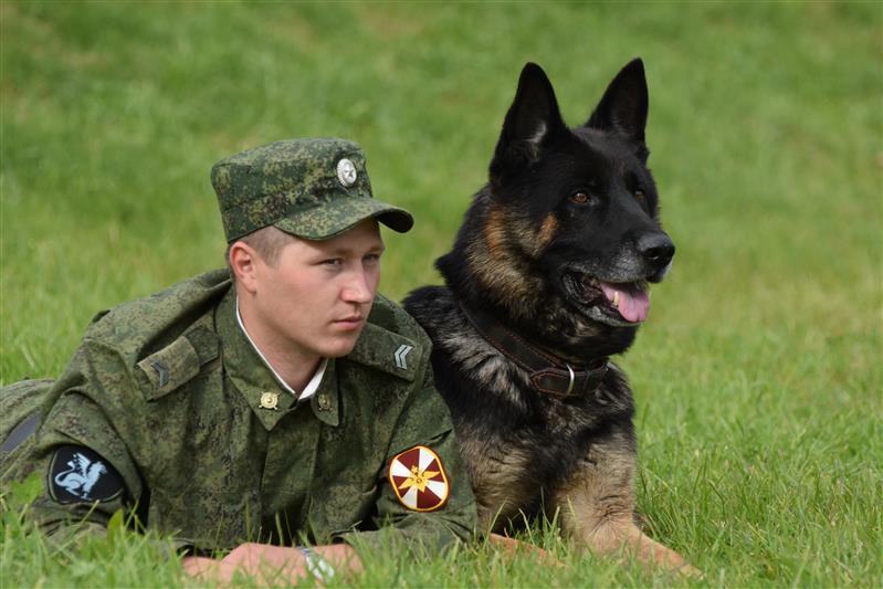 Чемпионат войск национальной гвардии по многоборью кинологов 