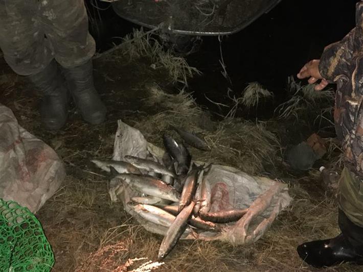 В Бурятии сотрудники ОМОНа Росгвардии пресекли факт незаконной добычи водных биологических ресурсов