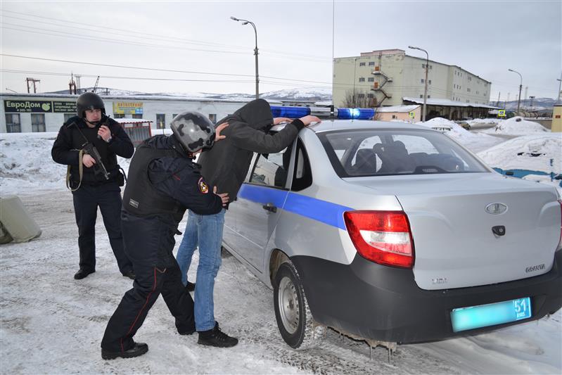 В Мурманской области сотрудники Росгвардии задержали молодого человека, управлявшего угнанным автомобилем