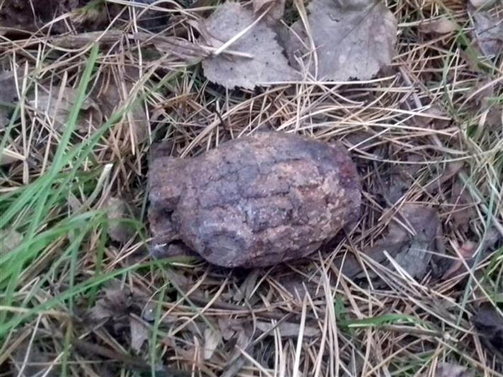 Взрывотехники красноярского ОМОНа обезвредили боевую гранату