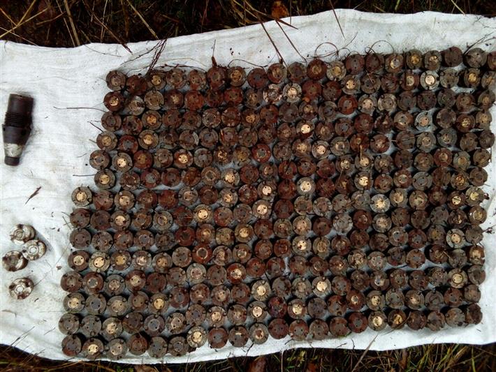 Бойцы саратовского ОМОНа уничтожили взрывоопасные боеприпасы