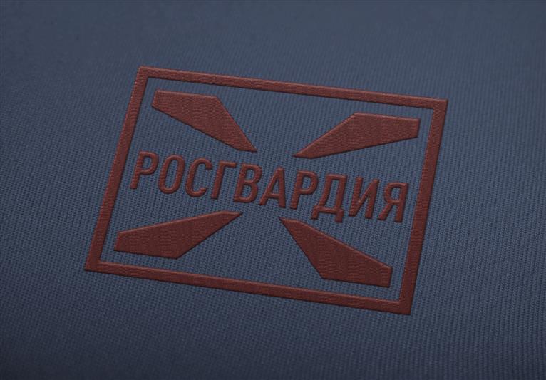 Сотрудники Росгвардии задержали в Архангельске уличного грабителя