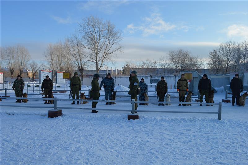 В Тюмени стартовал курс профессиональной подготовки кинологов ОМОНа Росгвардии 