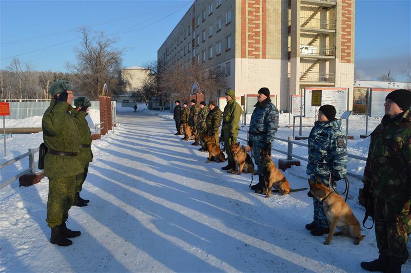 В Тюмени стартовал курс профессиональной подготовки кинологов ОМОНа Росгвардии 
