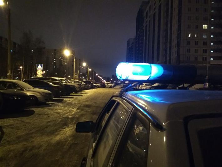 В Санкт-Петербурге росгвардейцами задержан мужчина с ножом, угрожавший убийством посетителям магазина