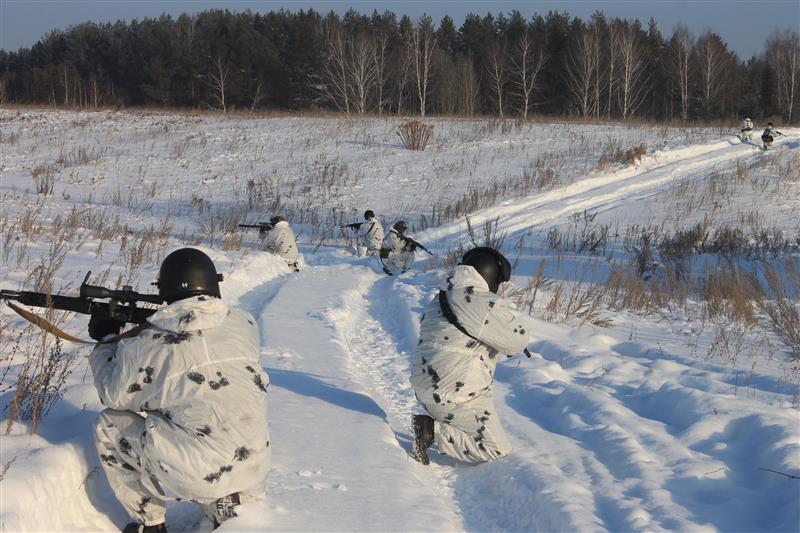 В Воткинске прошли совместные занятия военнослужащих и бойцов СОБРа Росгвардии